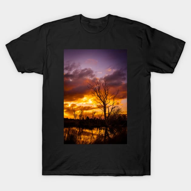 Sunset by the lake T-Shirt by seanfleming